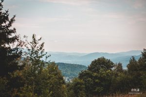 IMG_1442-1