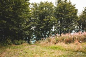 IMG_1509-1