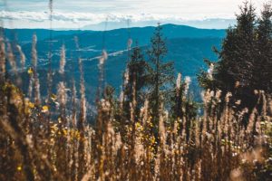 IMG_9108-1